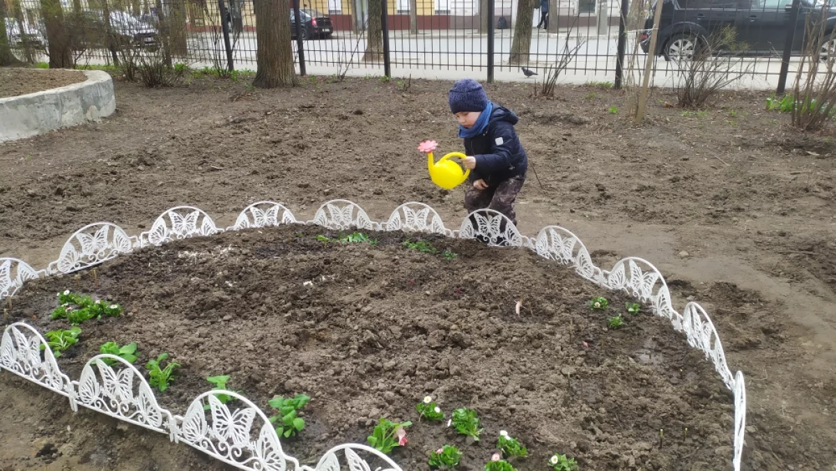 И посадили первые цветы.