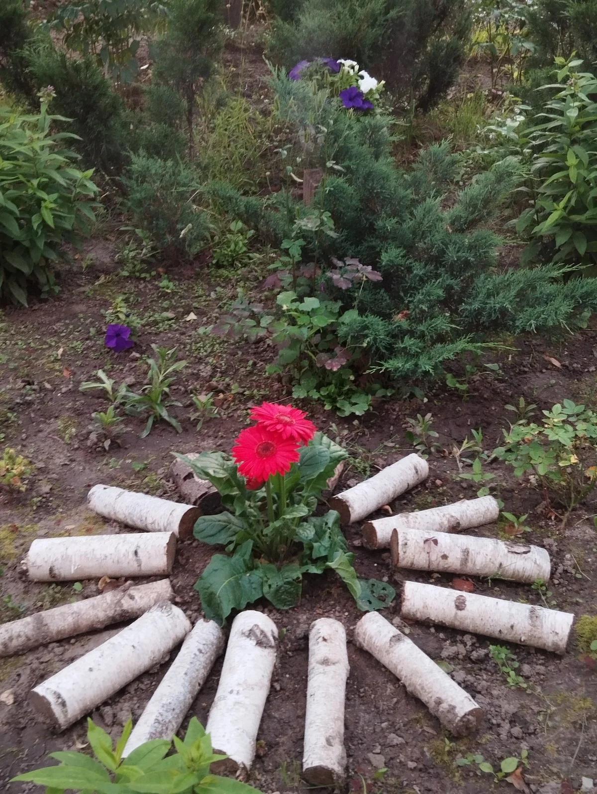 Здесь есть идея сдеать иммитацию костра.