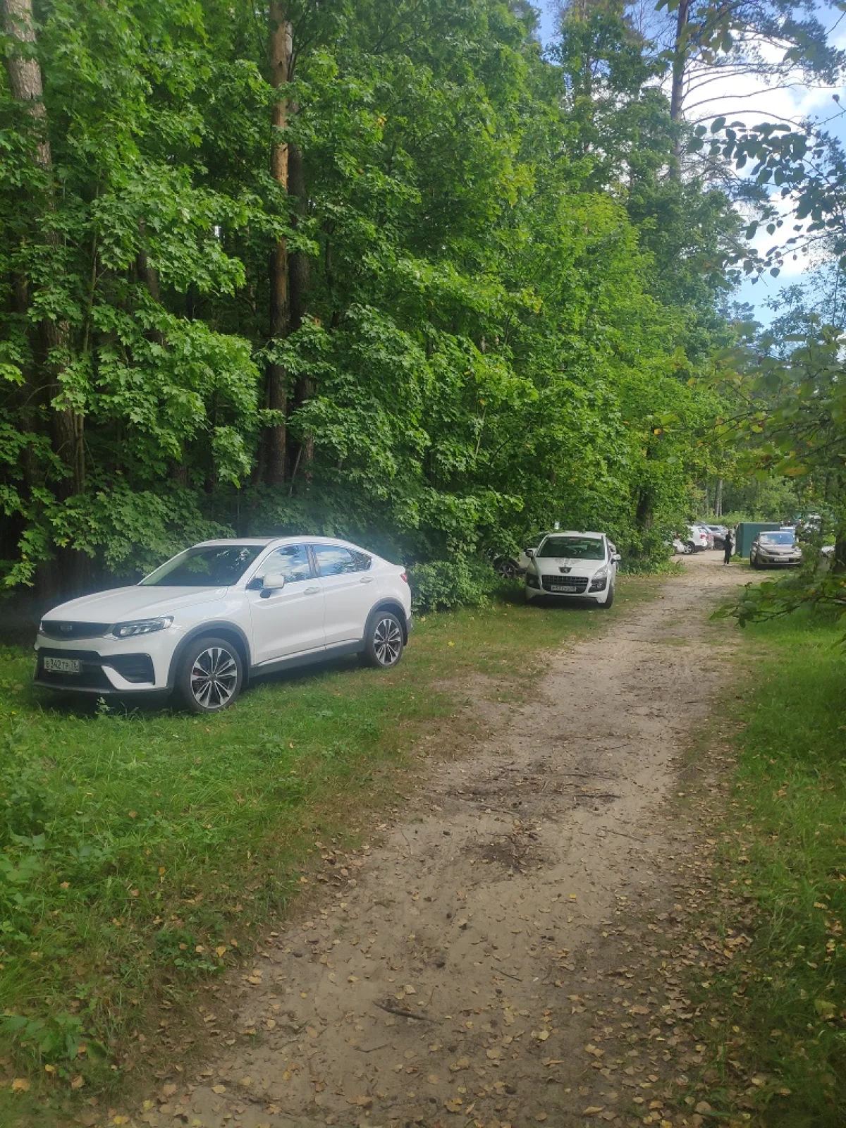 Geely Tugella B342TP76, Peugeot 3008 Р537УО40, 06.09.2025