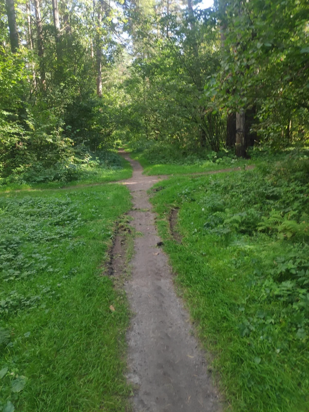 Перекресток на одной из популярных просек