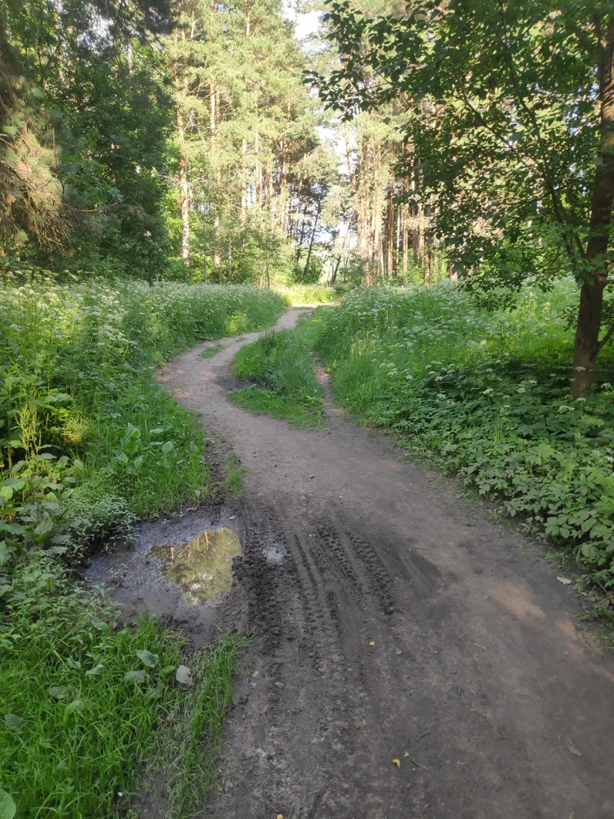 Тропа понтонной переправе