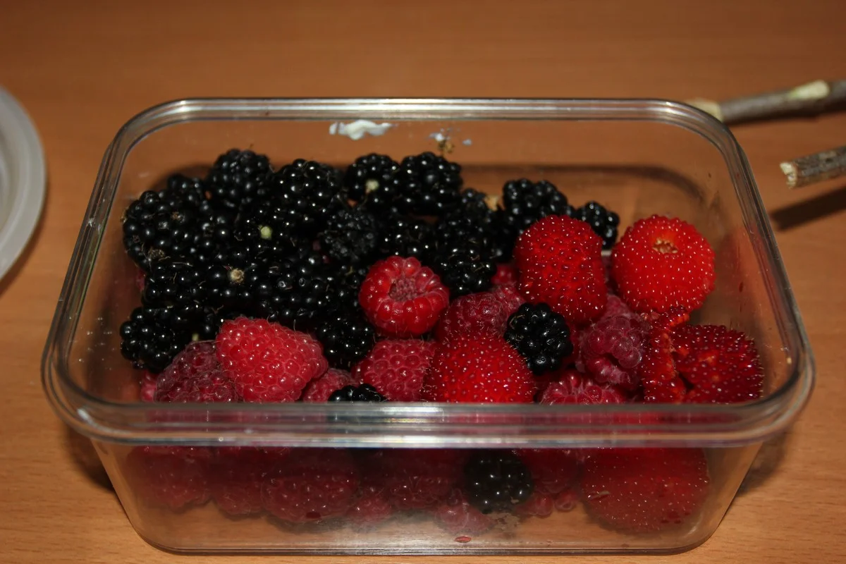 Ежевика, малина «Француженка» и крупная тибетская малина.  