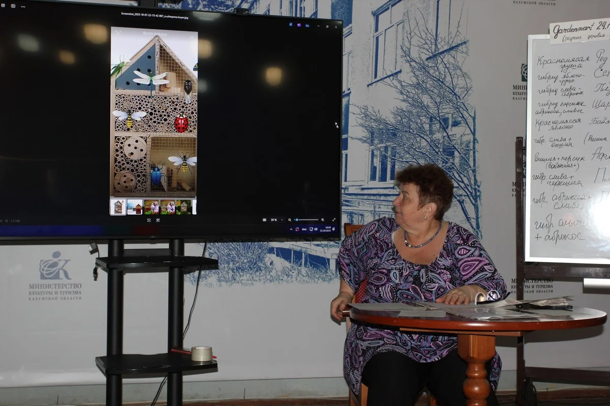 Домики могут быть разными. 