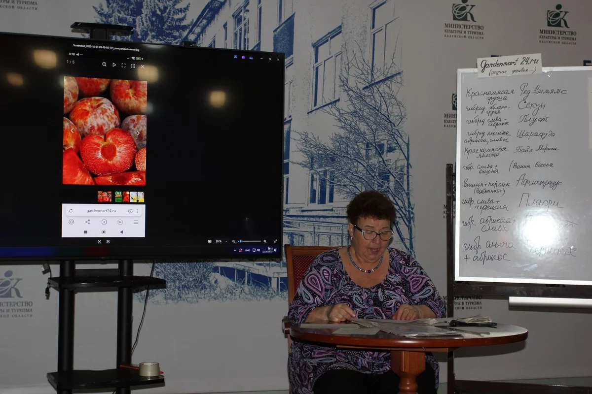 Плуот Дапл Денди.