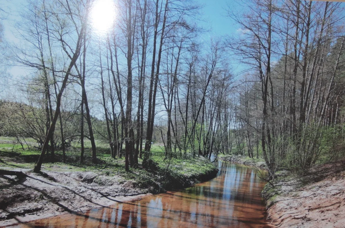 Весенняя Желовь.