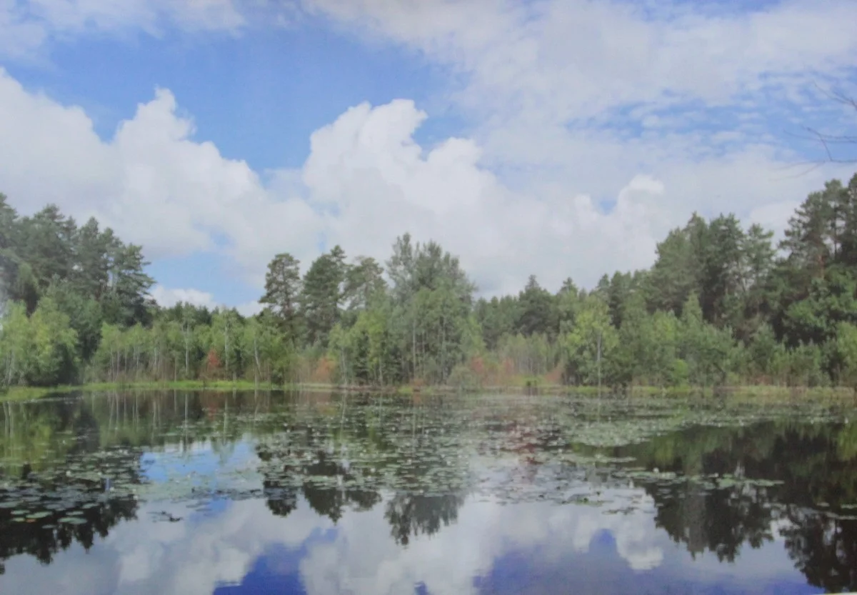 Озеро Ермоловское.