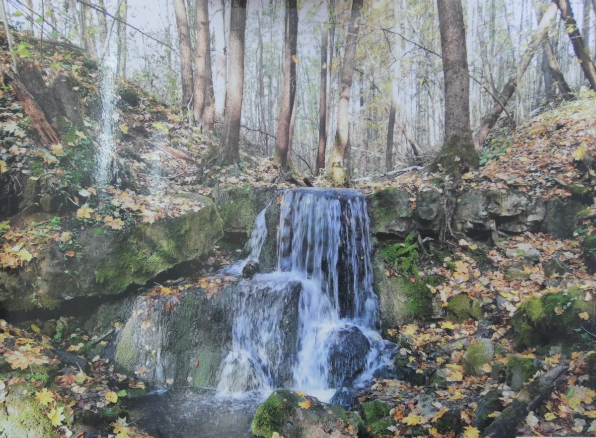 Бестенский перелом.