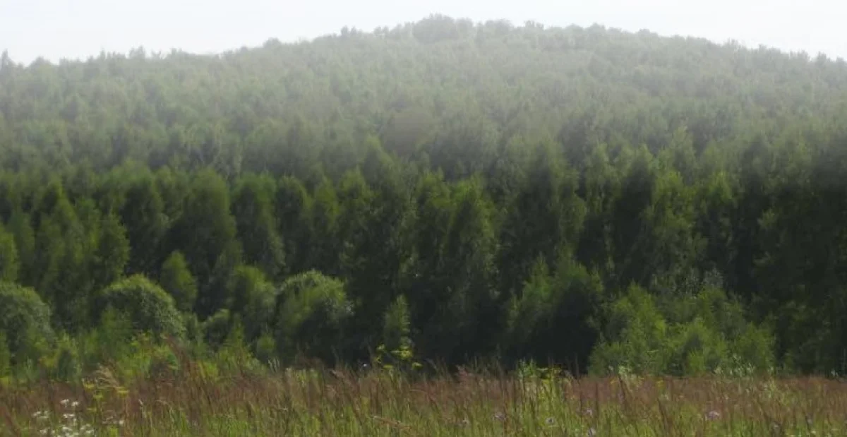 Холм Морёный.