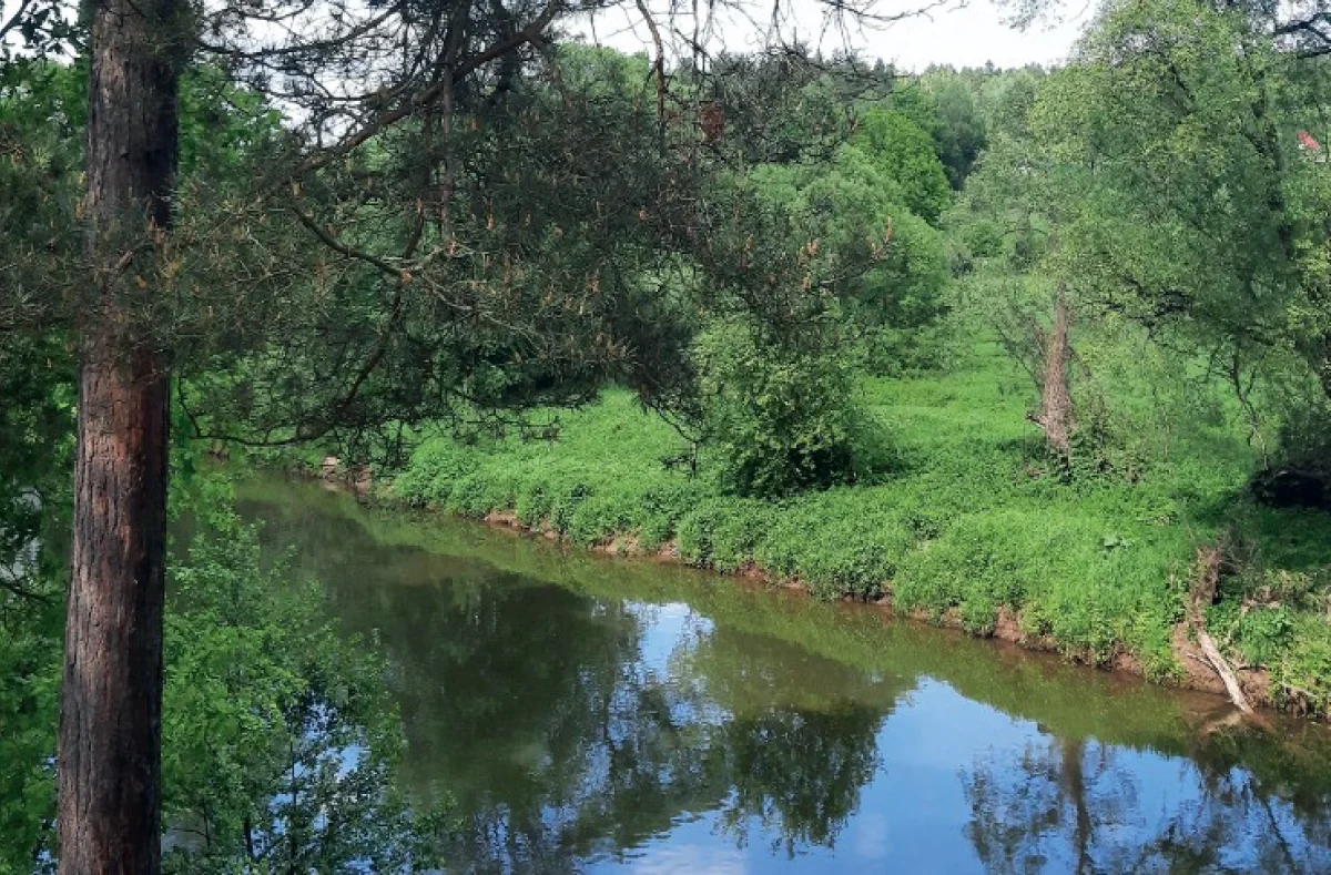 Река Таруса.