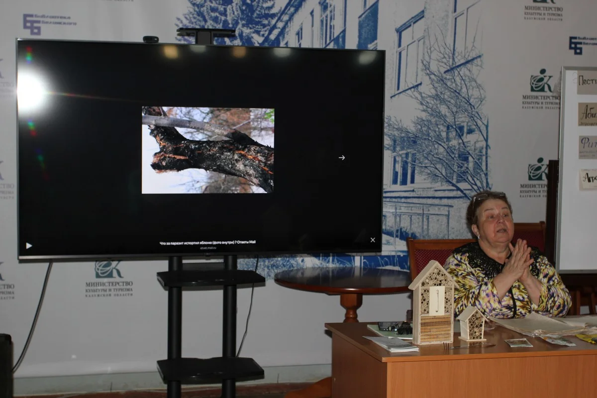 черный рак: дерево спилить и сжечь. 