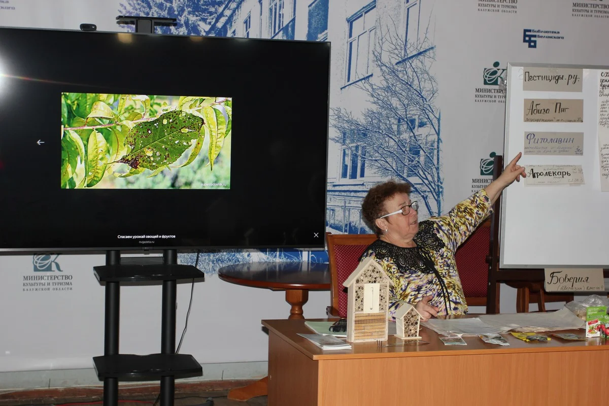 «Дырявые листья» - признак клястероспориоза.