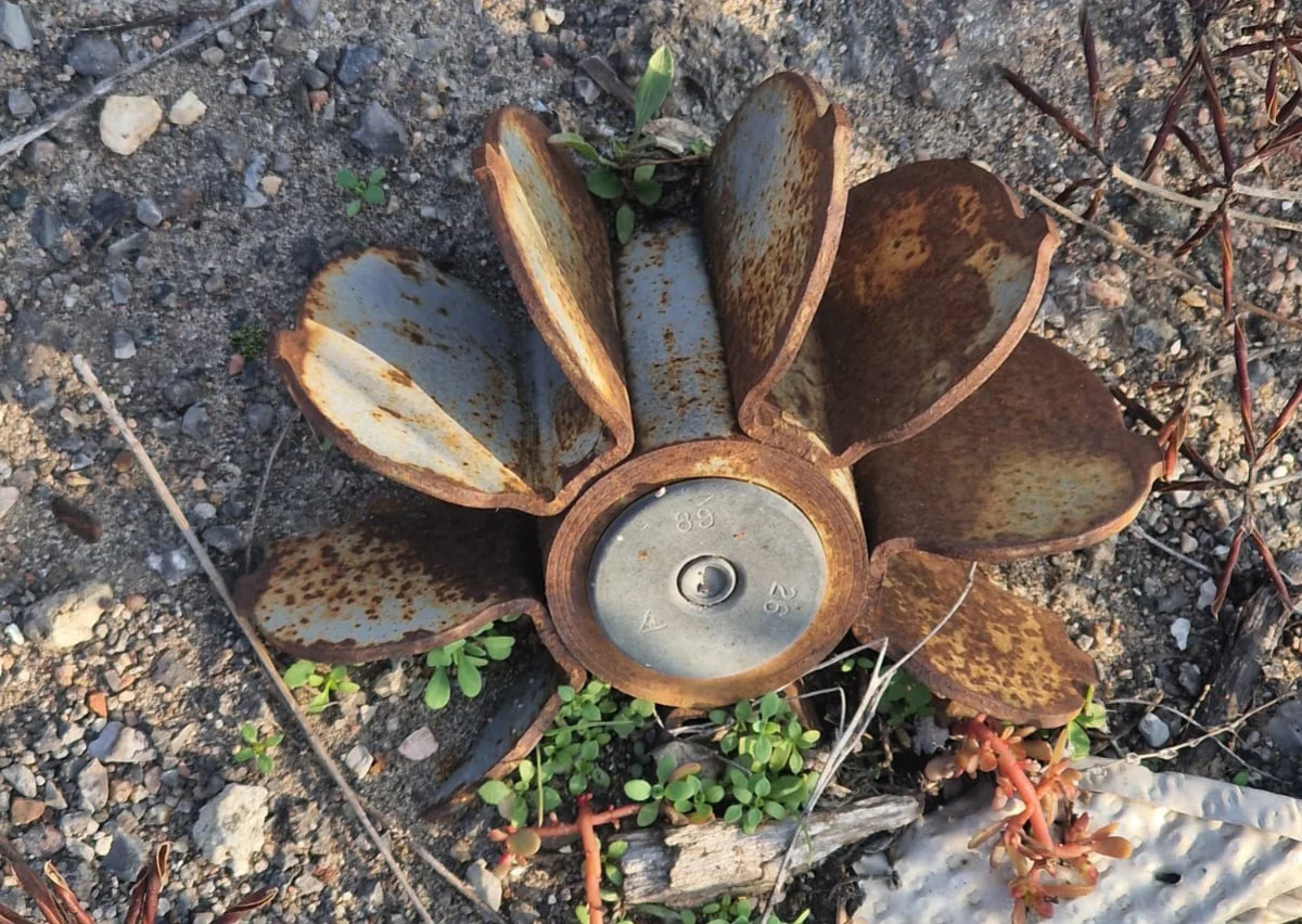 Опасная находка на обочине.