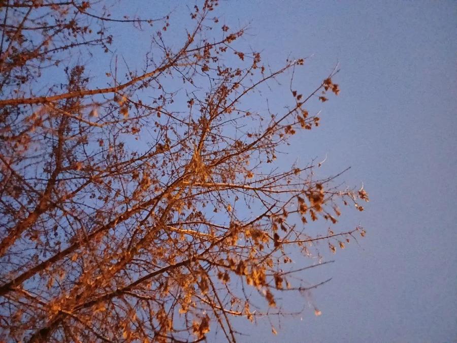 11 беспилотников атаковали Калужскую область