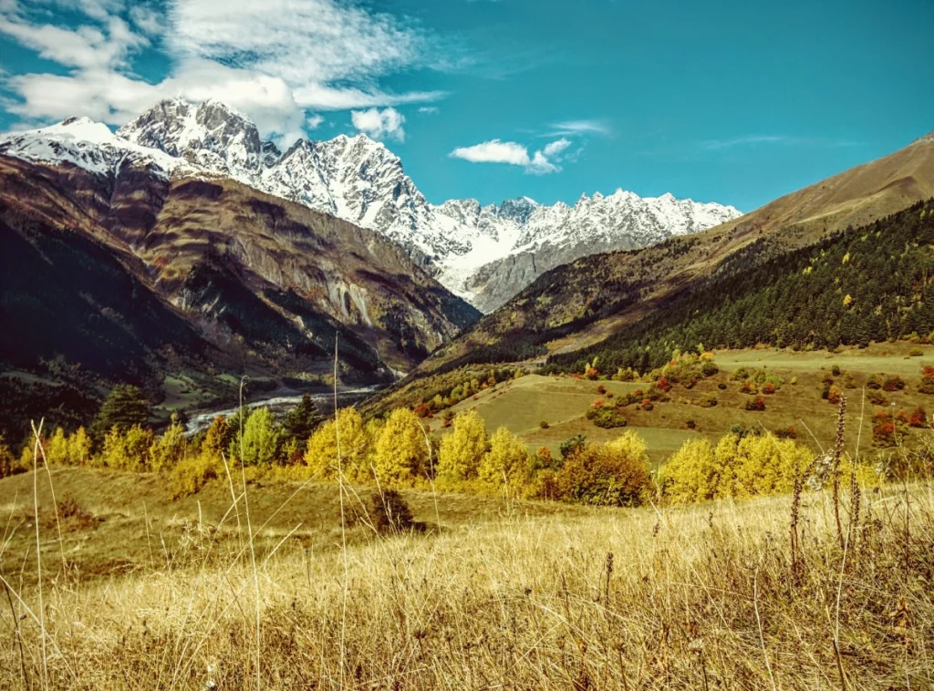Калужанка погасила долг ради поездки в Грузию