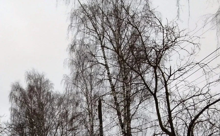 Над Калужской областью сбит еще один беспилотник