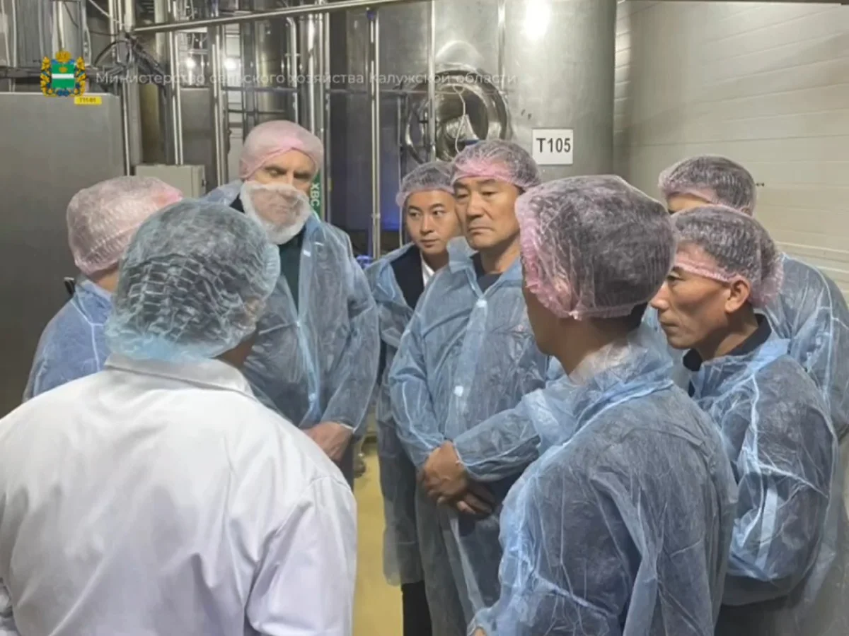 Новость о делегации из КНДР стала поводом для шуток и острот.