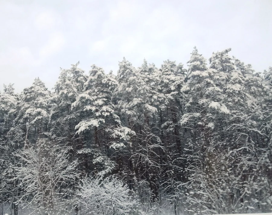 ПВО сбила одиннадцать беспилотников над районами Калужской области