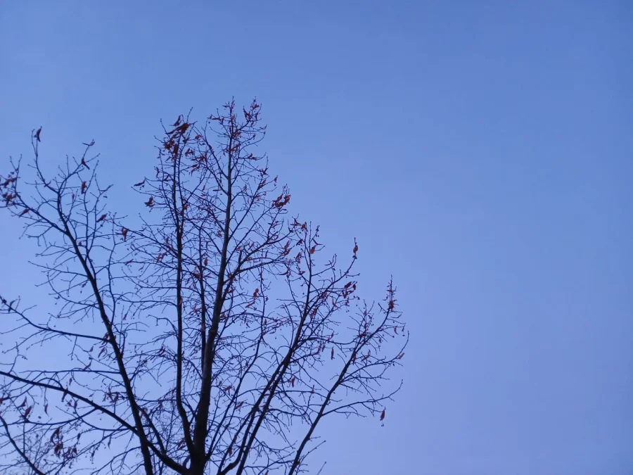 ПВО уничтожила 16 дронов над Калужской областью