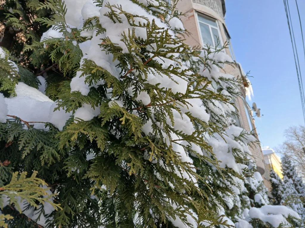 Морозы усилятся в Калужской области