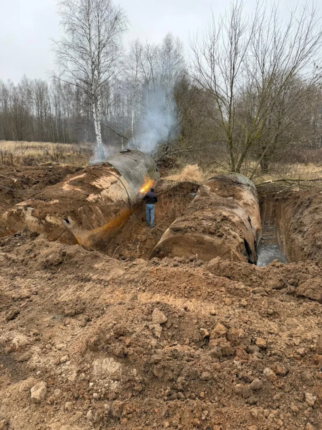 В Калужской области ликвидировали 15 скотомогильников