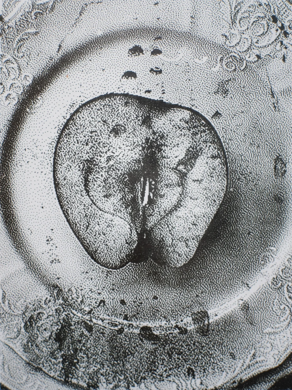 На фото - косточка от абрикоса. И здесь уже совмещение фотографий, сделанных на камеру и на детский фотоаппарат, потому что  нужен был макрорежим. 