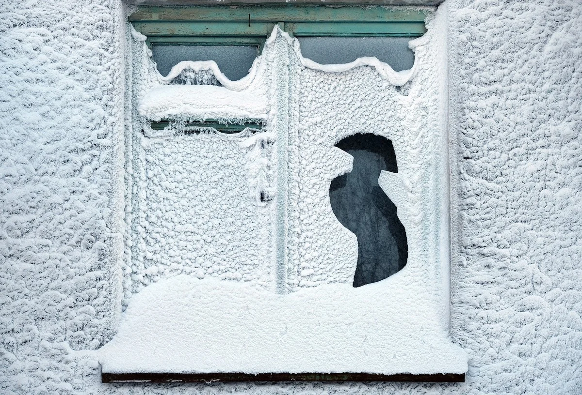 «Наполеон» в Воркуте