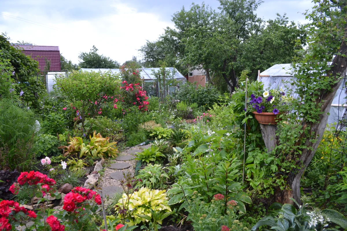 Вся эта красота – дело рук Элеоноры Лукиной. 