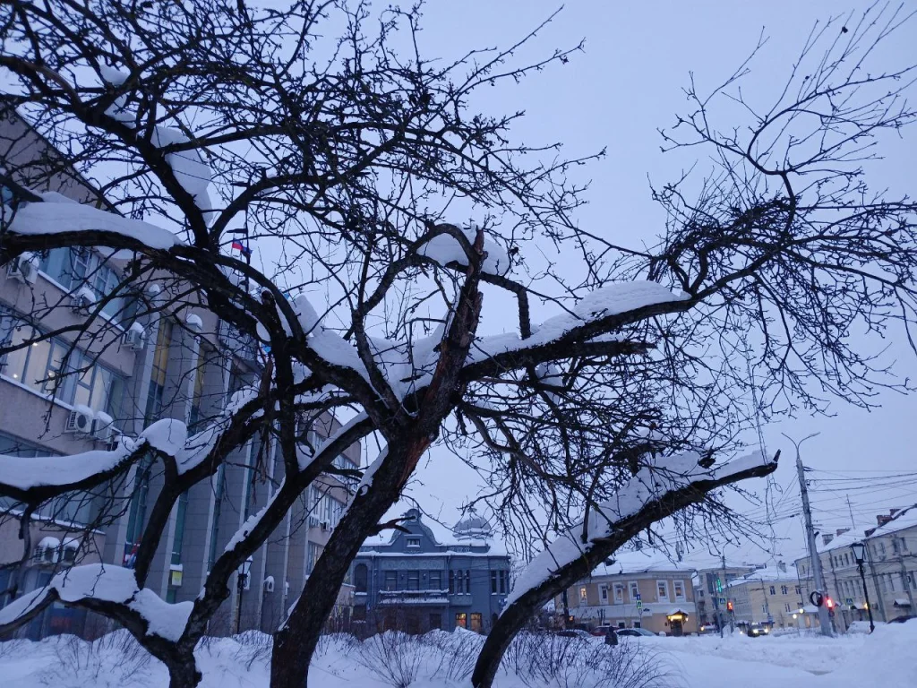 Февральские морозы не добрались до рекордов