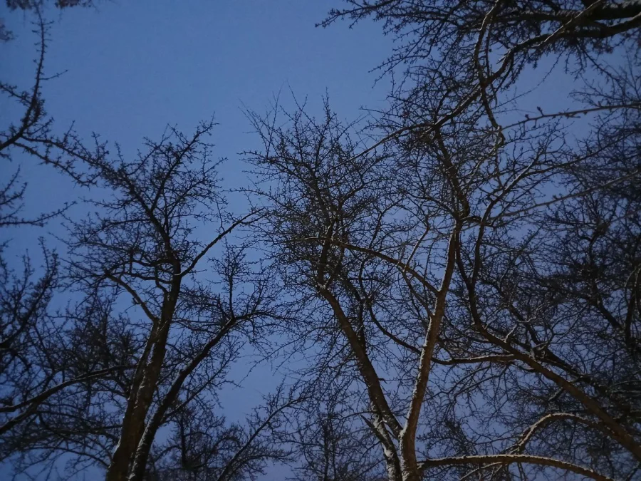 Средства ПВО ликвидировали еще три БПЛА в небе над Калужской областью