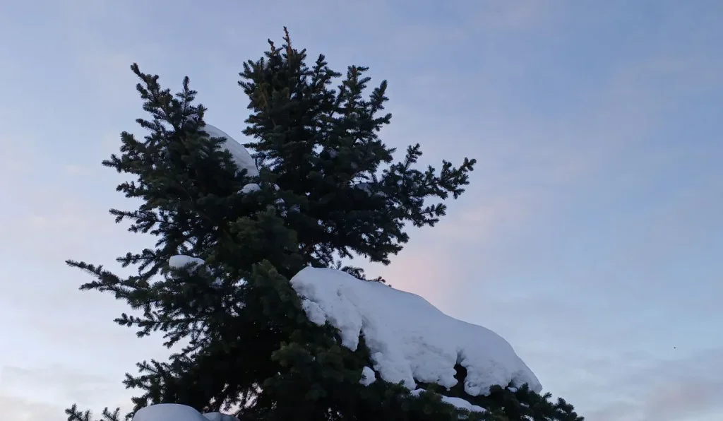 14 беспилотников сбили в Калужской области за ночь