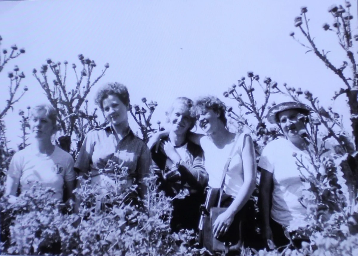 На практике с Натальей Воронковой. В чертополохе выше головы. Все счастливые, как будто на Мальдивах, 1969 год.