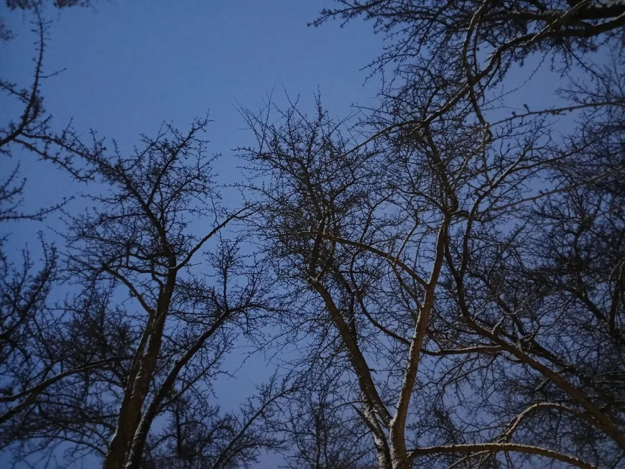 Шапша рассказал, где ночью сбили беспилотники в Калужской области