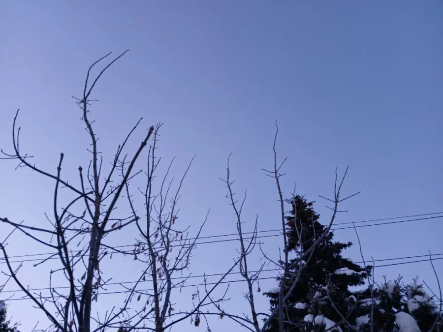 В Калужской области снова сбили беспилотники