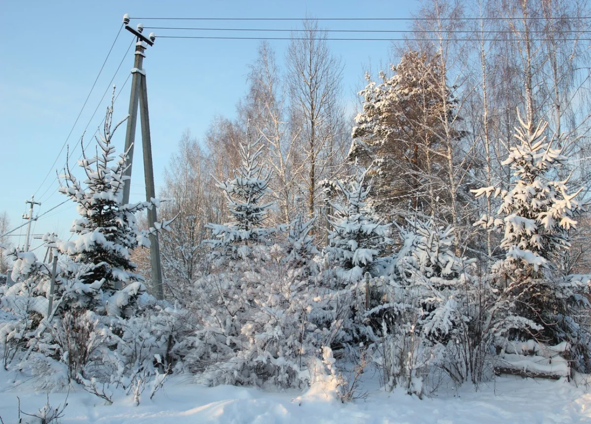 Такой красивой зимы давно не было. 