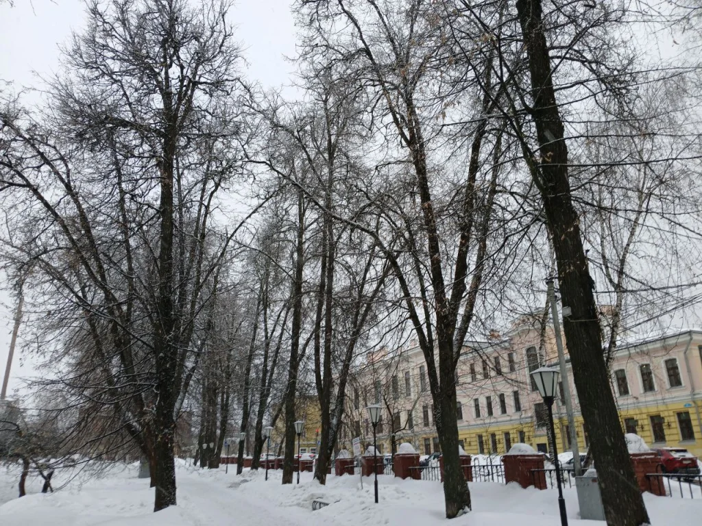 В Калуге потеплеет на выходных