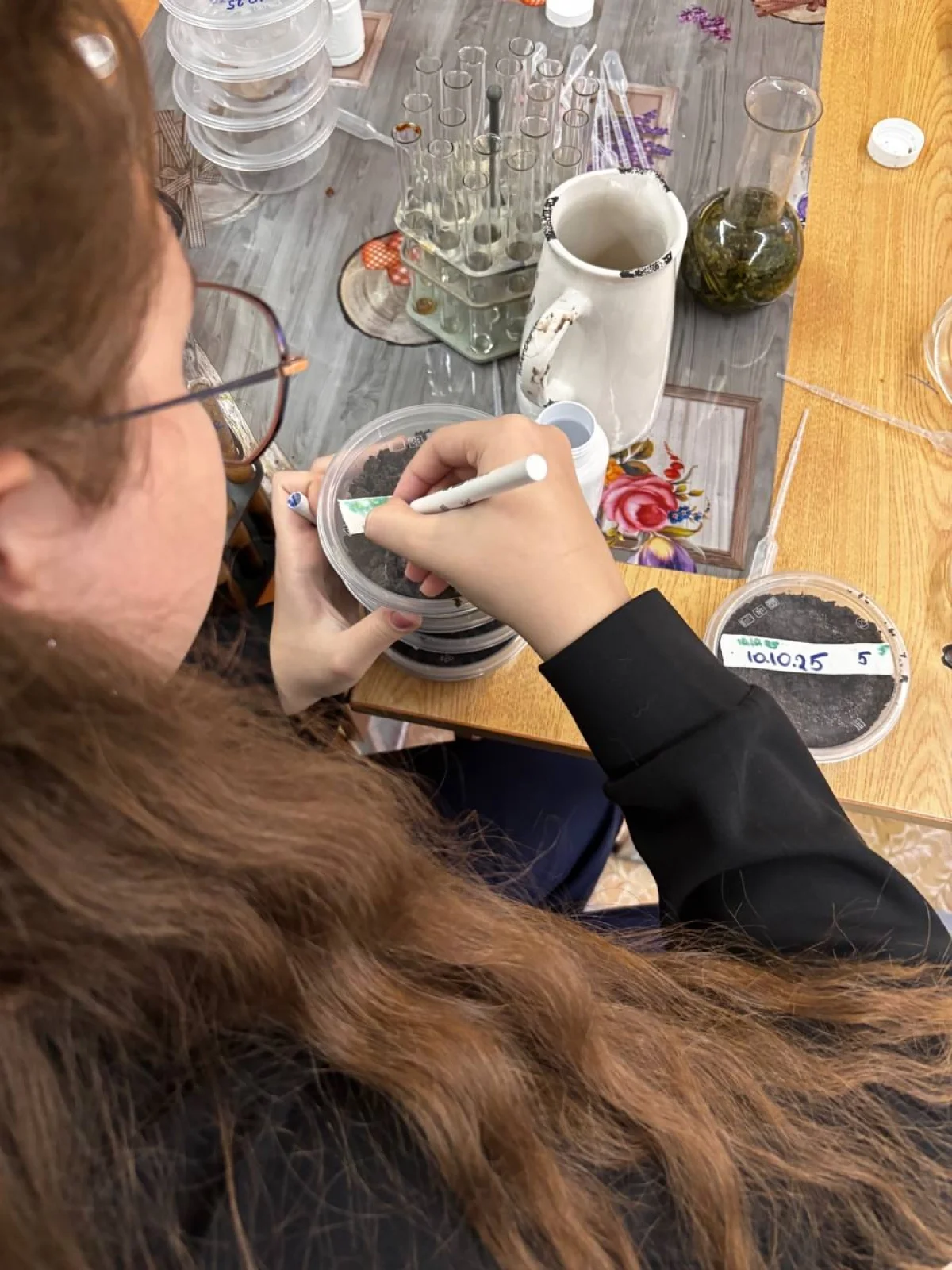 Отобрали образцы почвы.