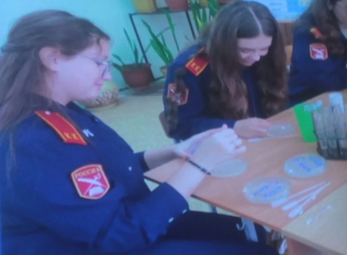 Свои результаты исследований ребята представляют уже большой аудитории, даже подготовили презентацию проекта. 