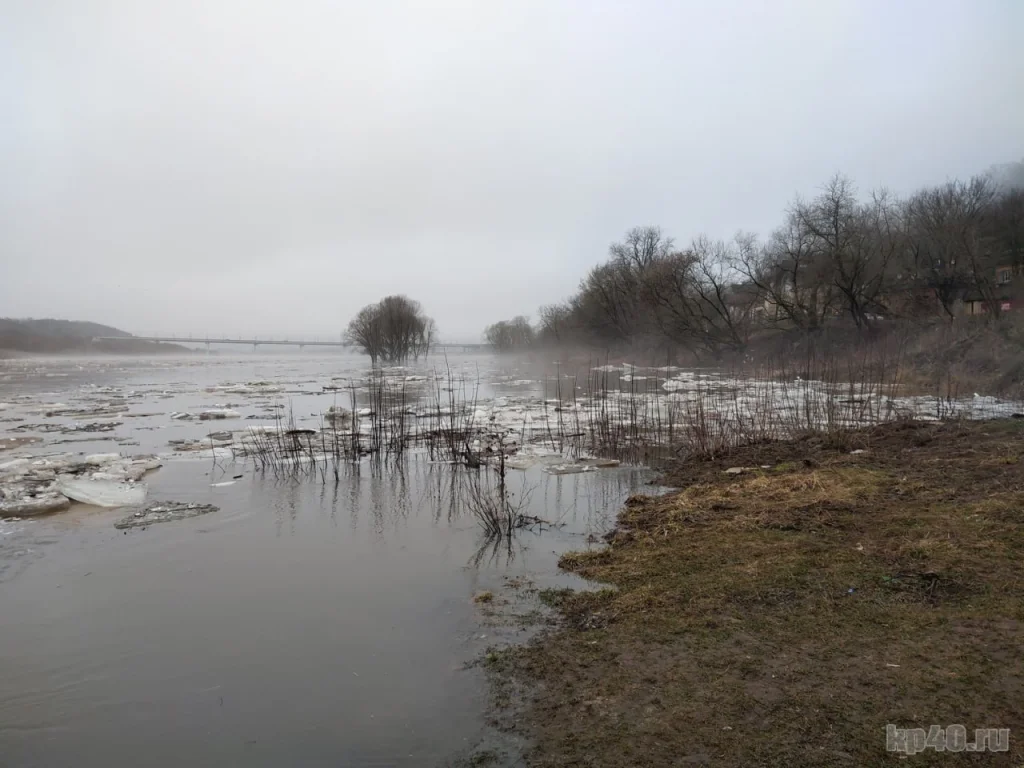 Ока за сутки поднялась на 30 сантиметров
