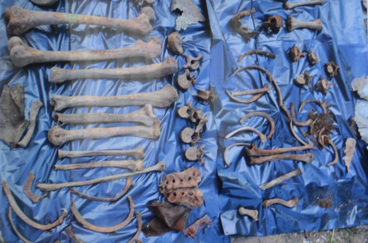 Останки, которые обнаружили, перезахоронили с почестями.