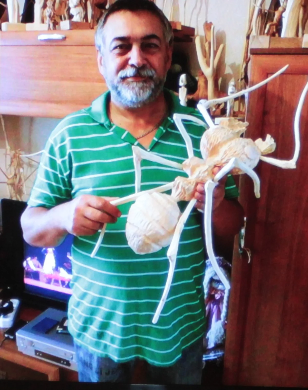 Ветки превращаются в животных, насекомых, человечков. 