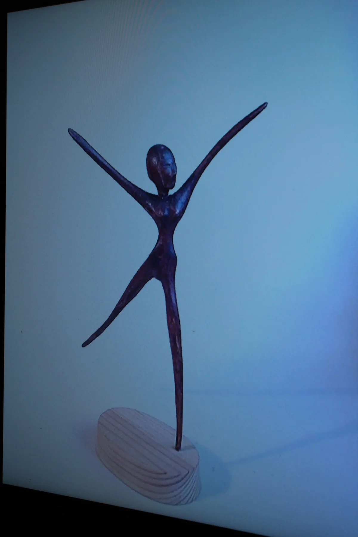 Вот вам - балет.