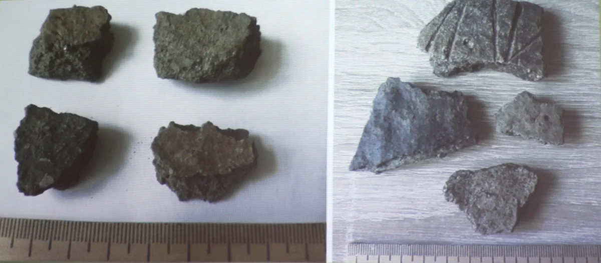 Фрагменты грубых лепных сосудов.