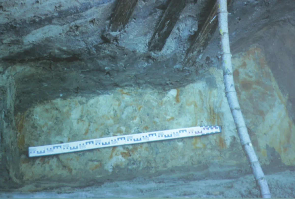 Видны железестые пятна, здначит, здесь был ров, стояла вода. 