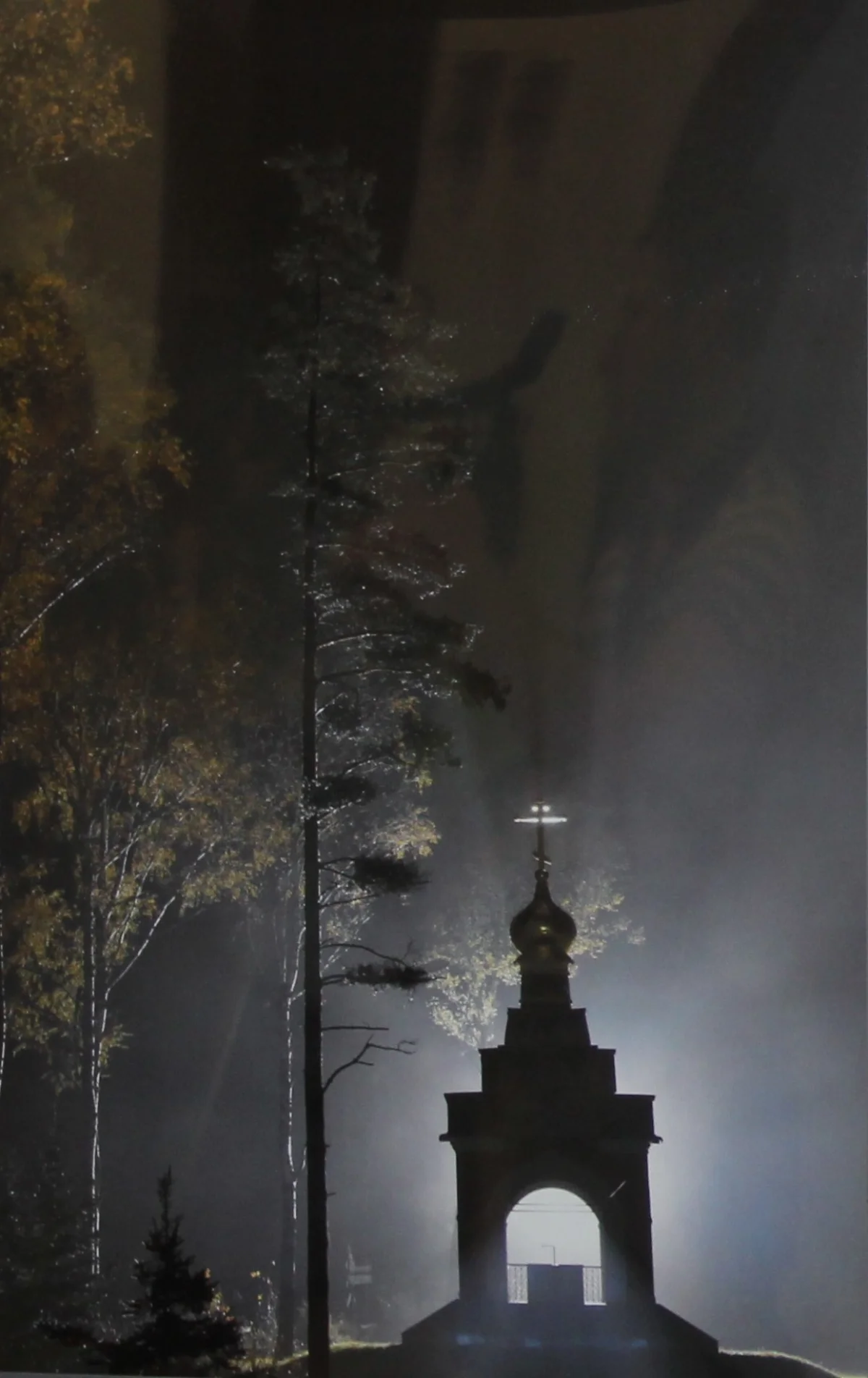 Фото Алексея Никитина «Исток реки Москвы».
