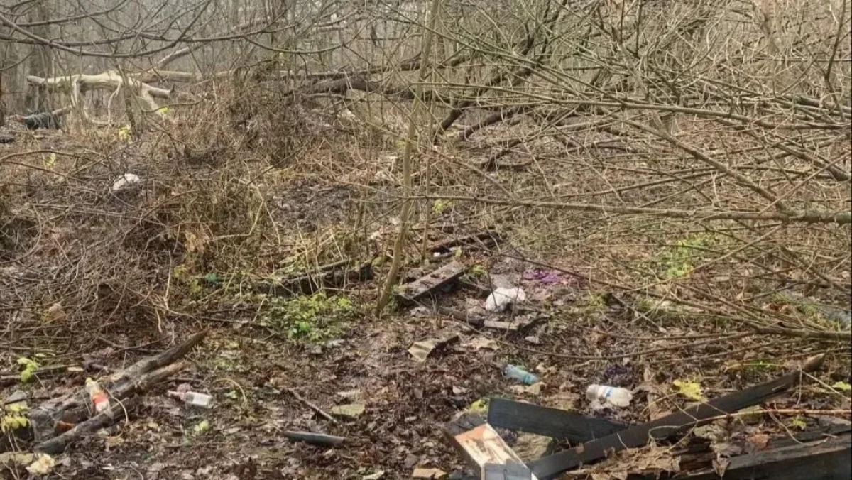 фото до уборки