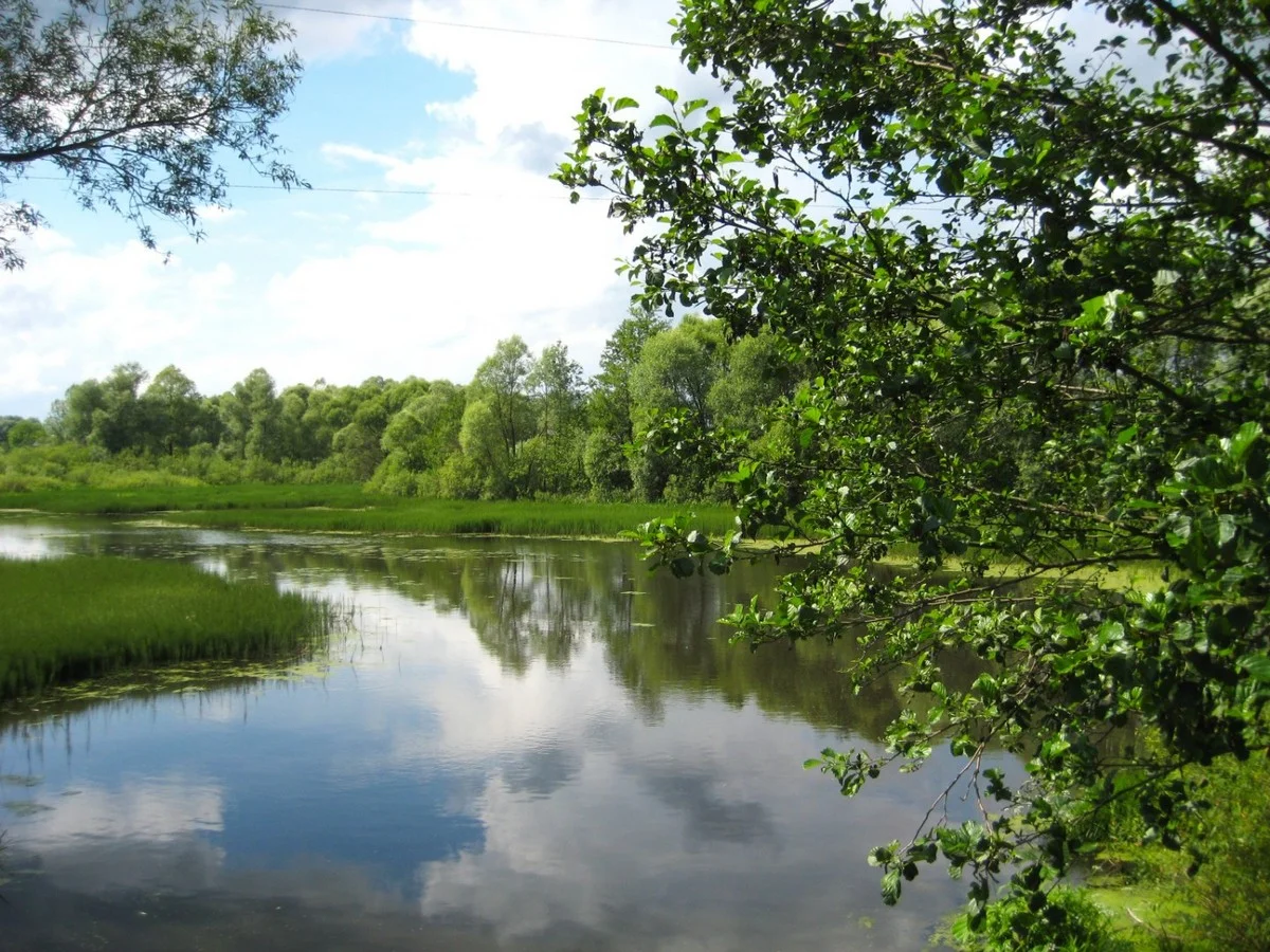 Река Нига. 