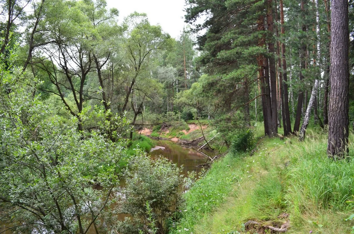 Парк «Остров».