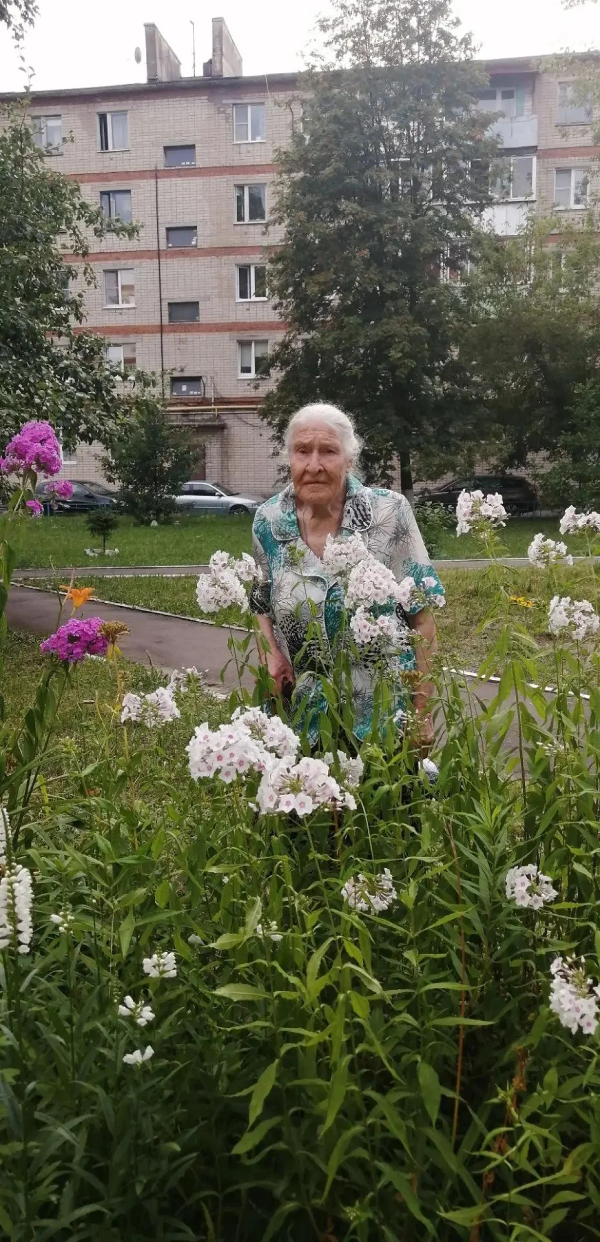 Бабушка Маша спешит на помощь.