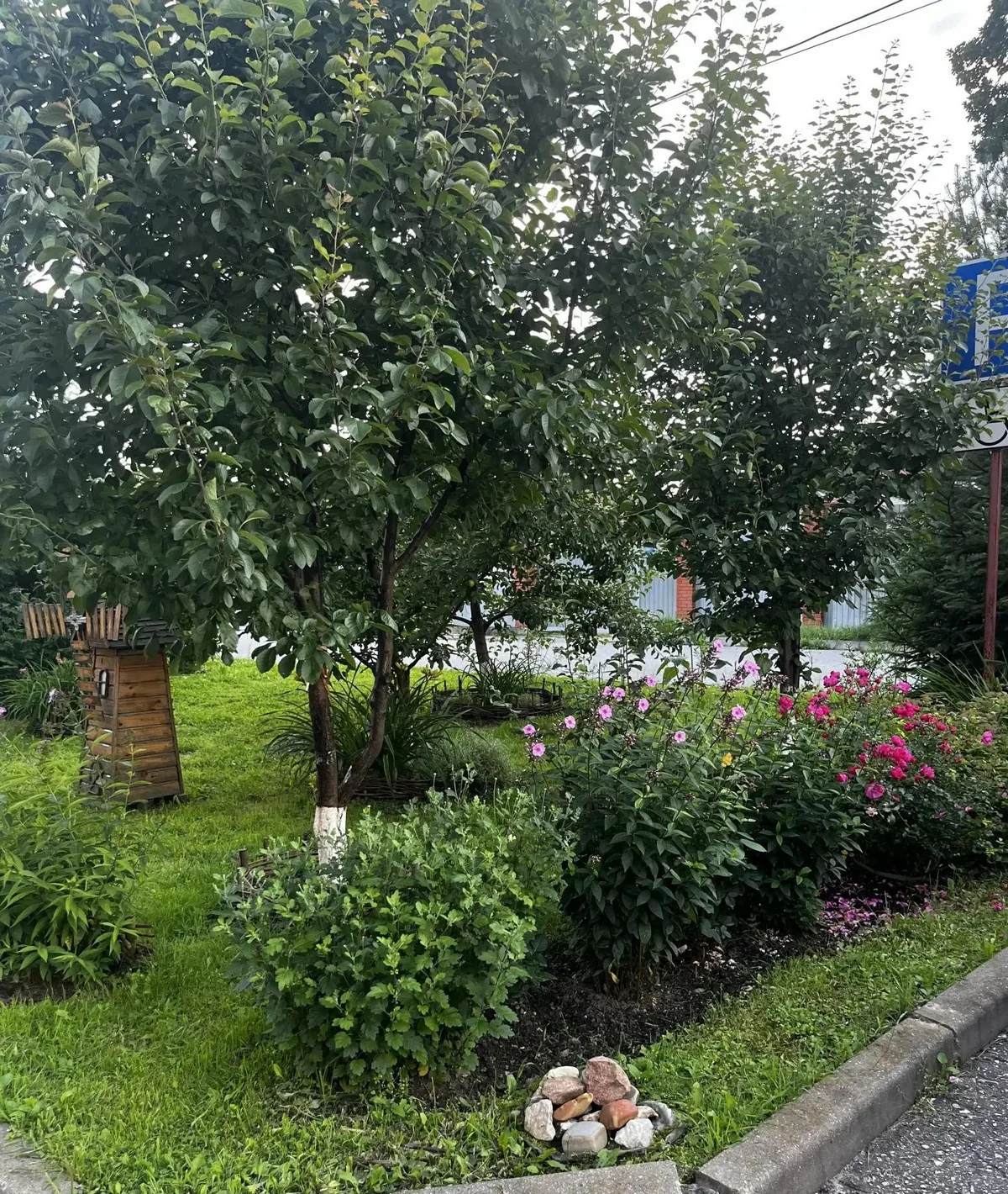 Жителей радует сад.