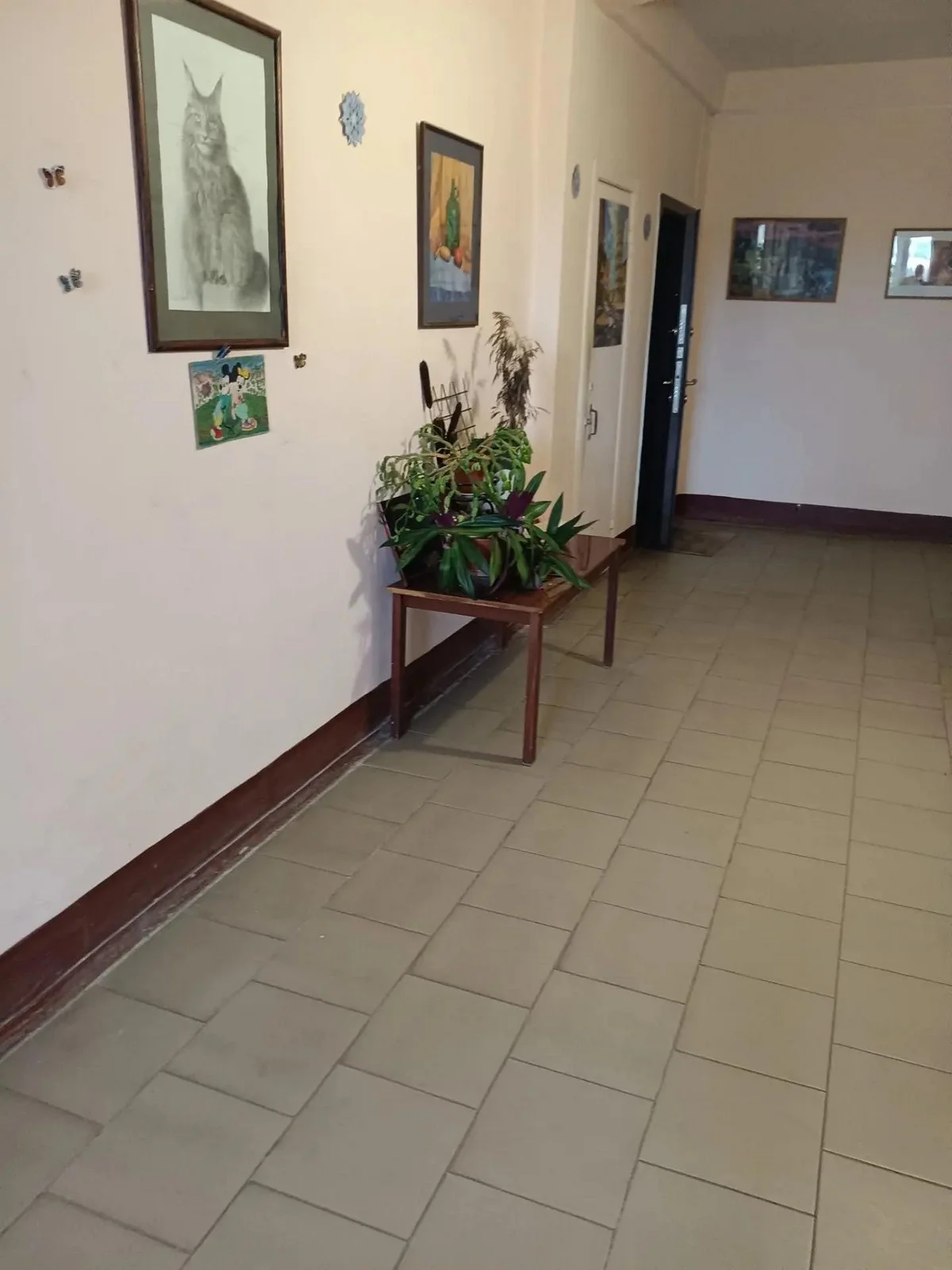 В подъездах тоже чистота и цветы.
